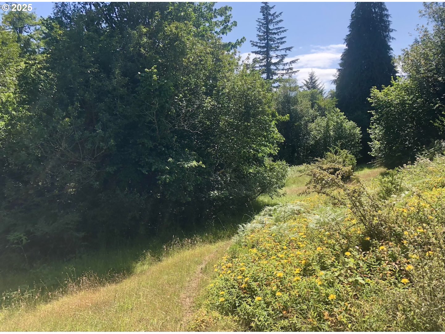 property viewer photo 42