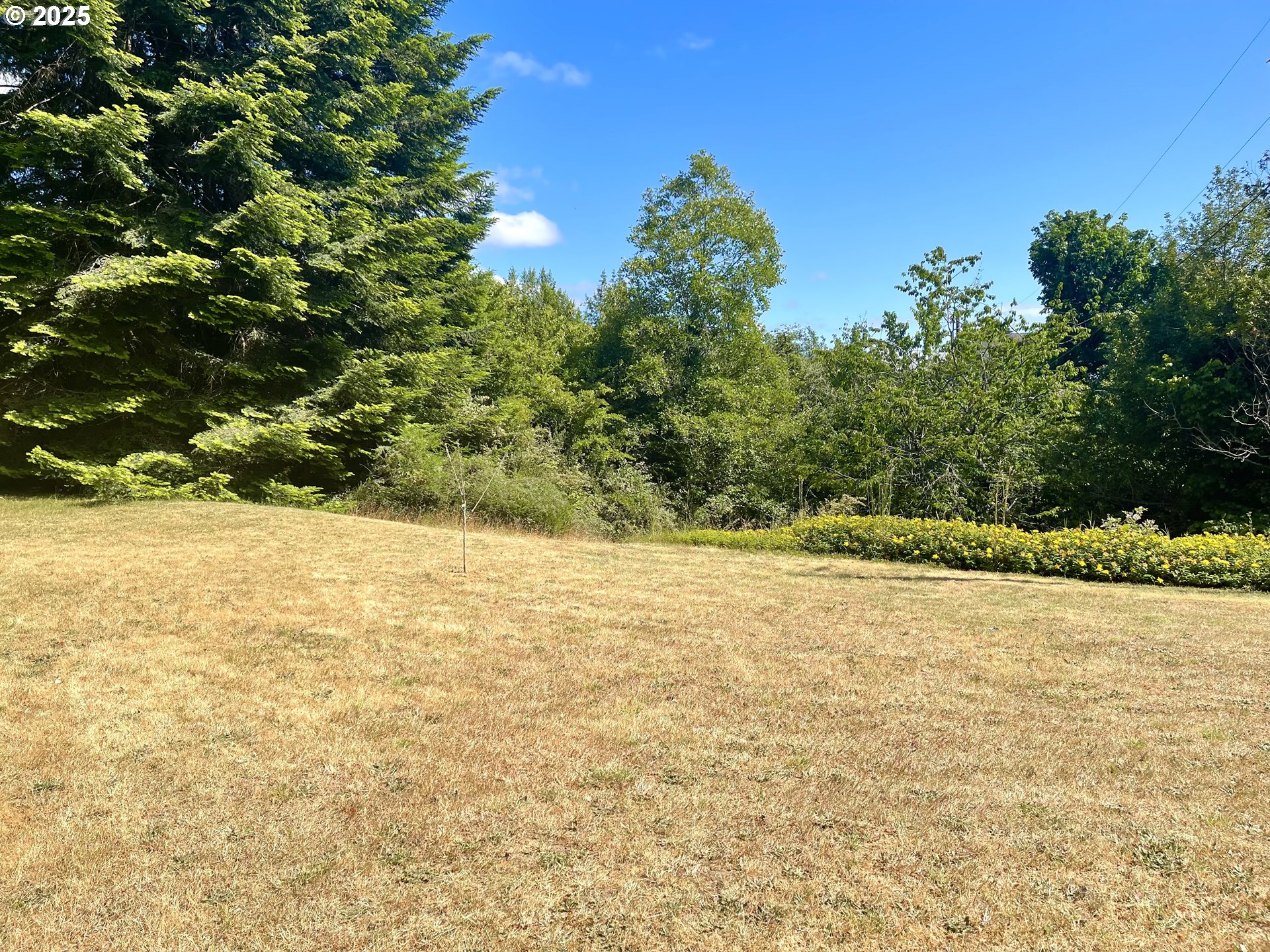 property viewer photo 43