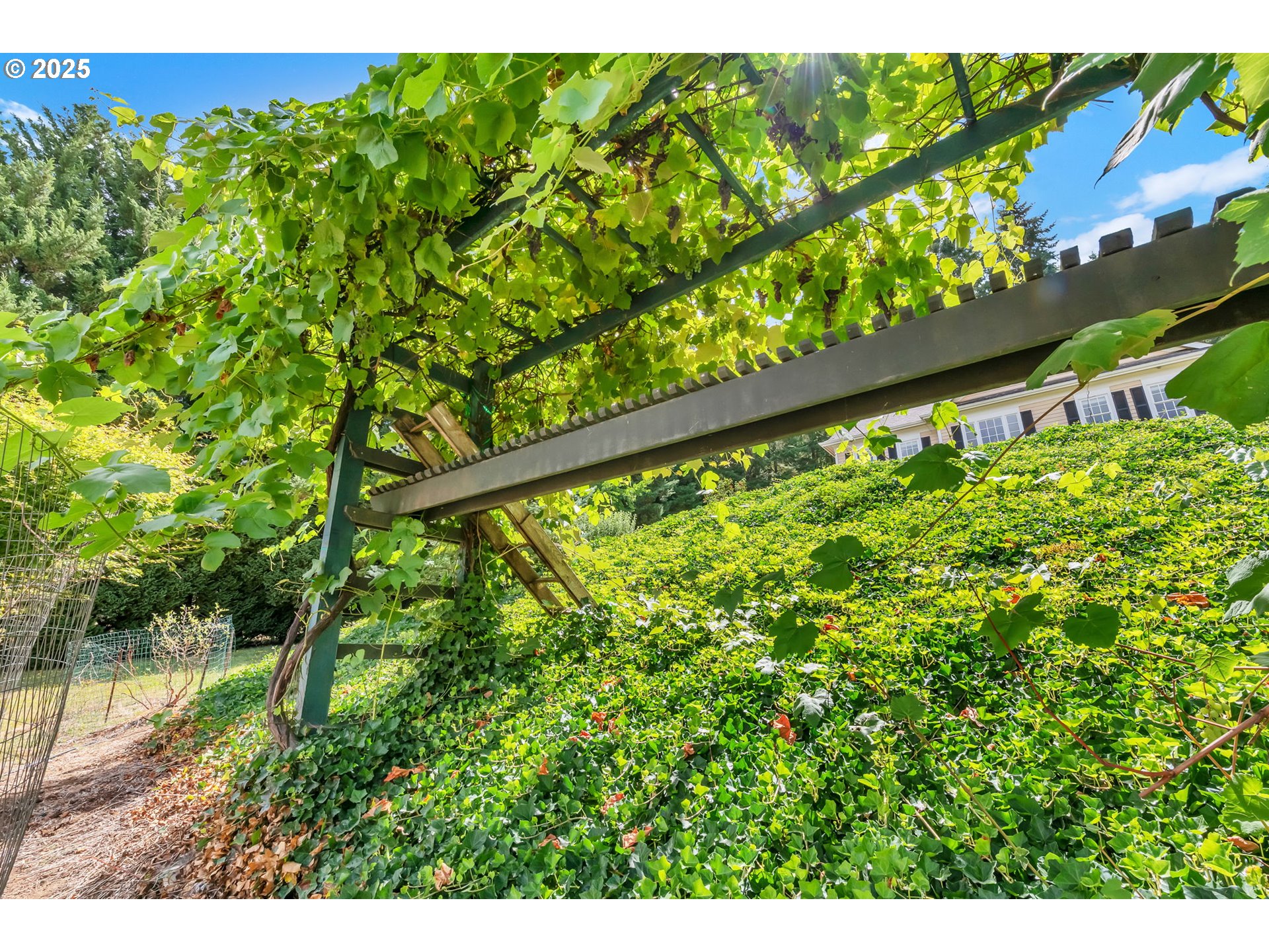 main property photo 37