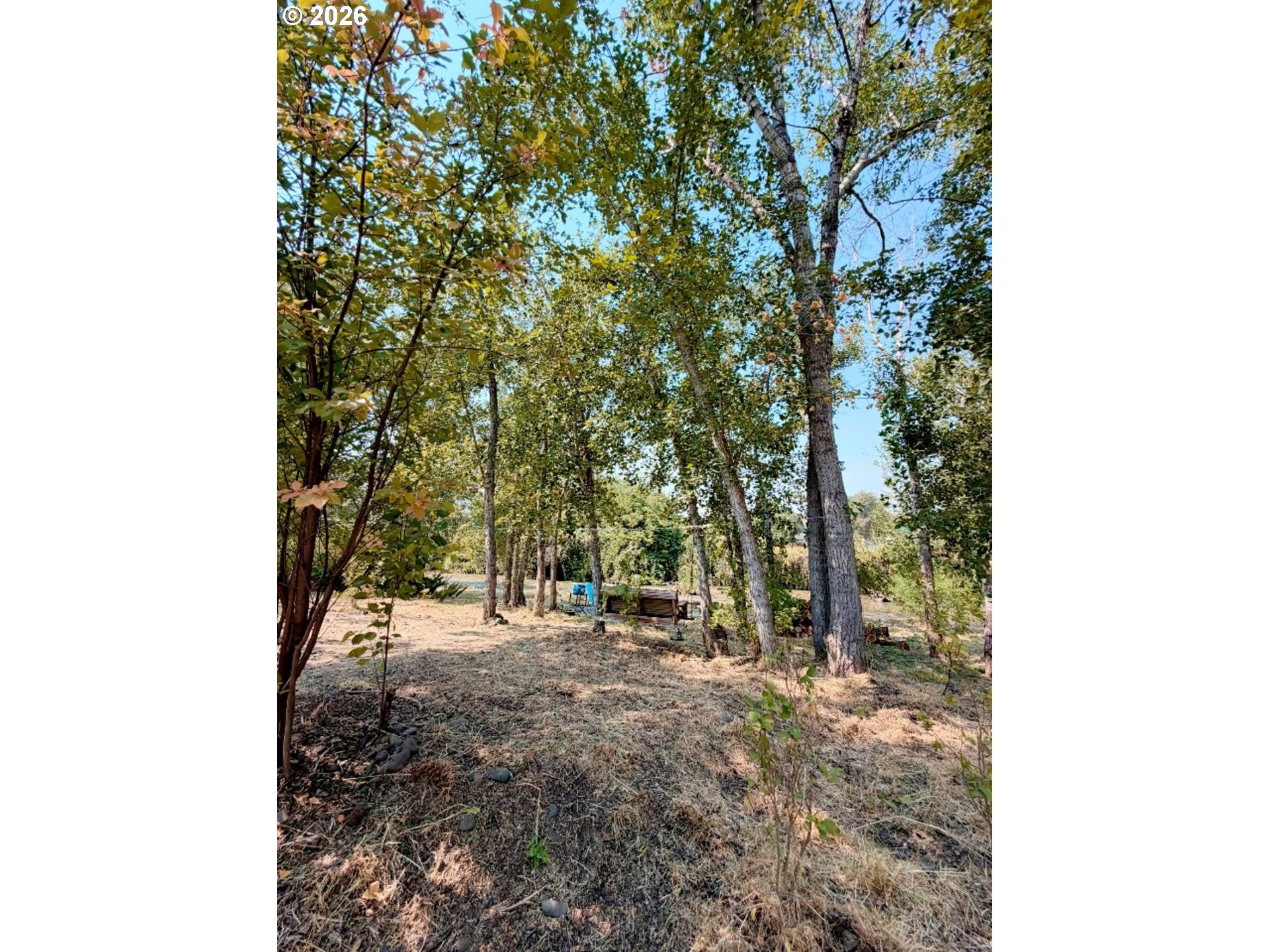 main property photo 45