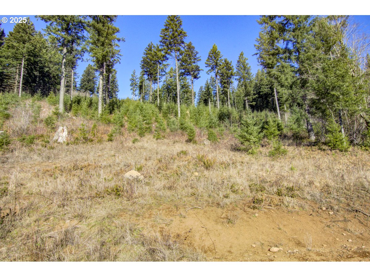 main property photo 38