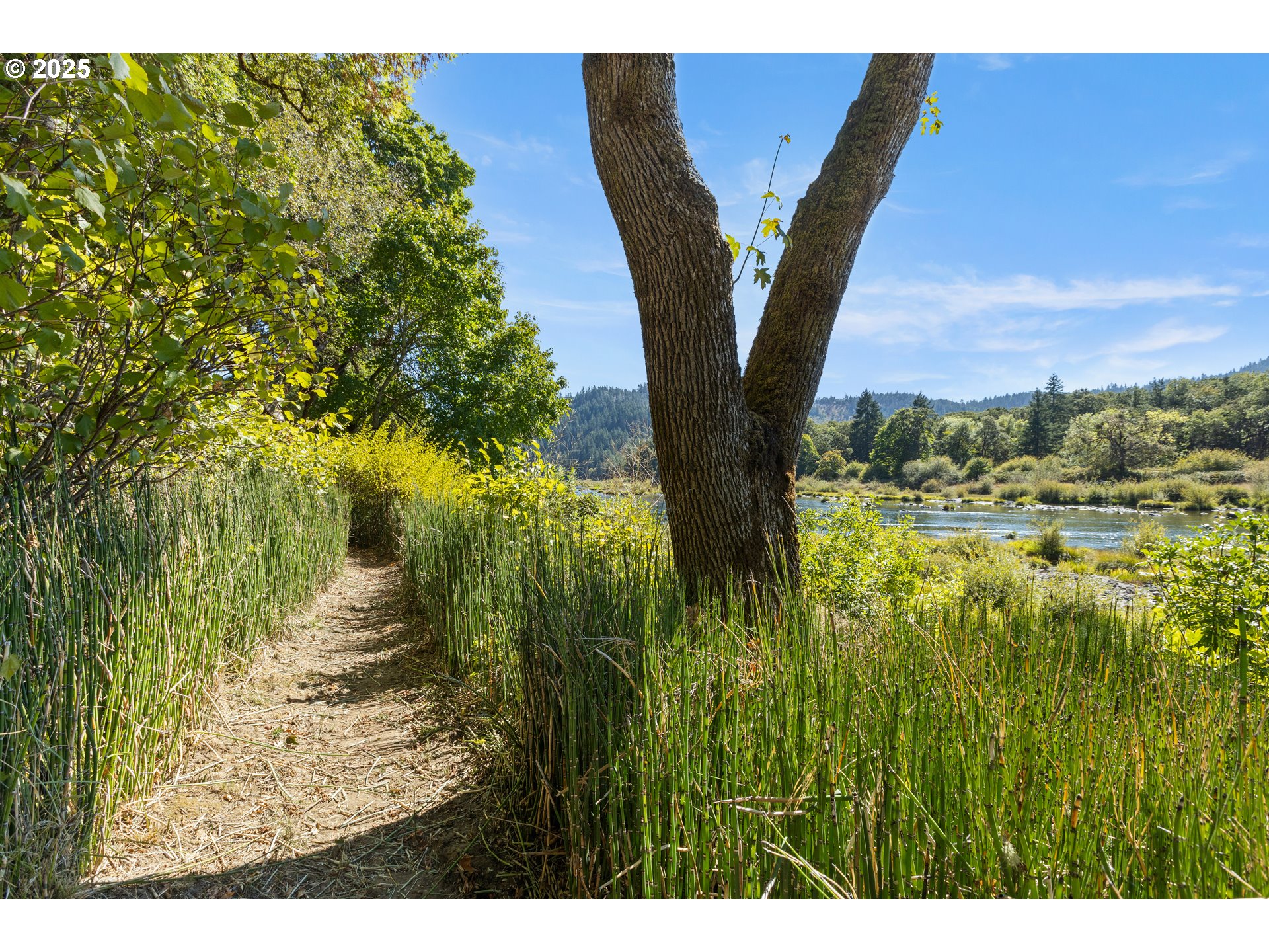 property viewer photo 38