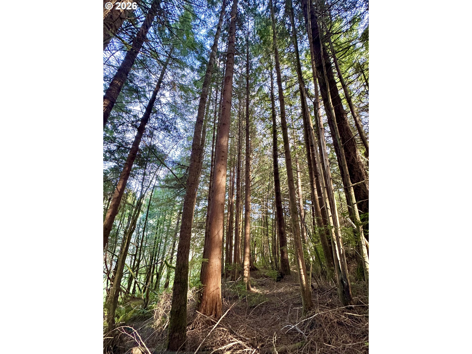 main property photo 39