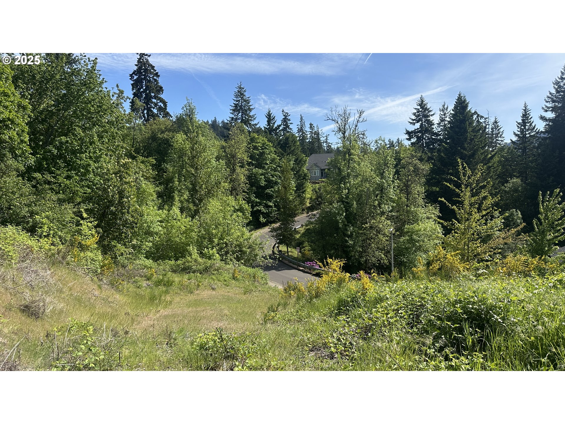 main property photo 15