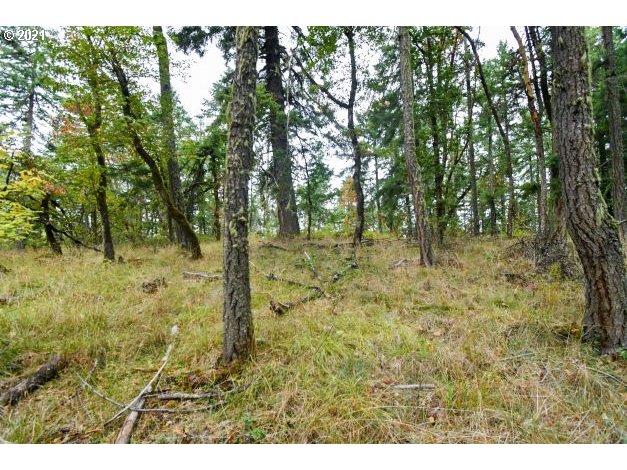 main property photo 11