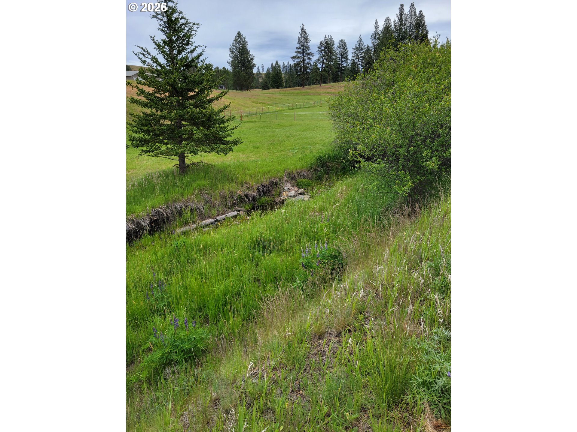 main property photo 12