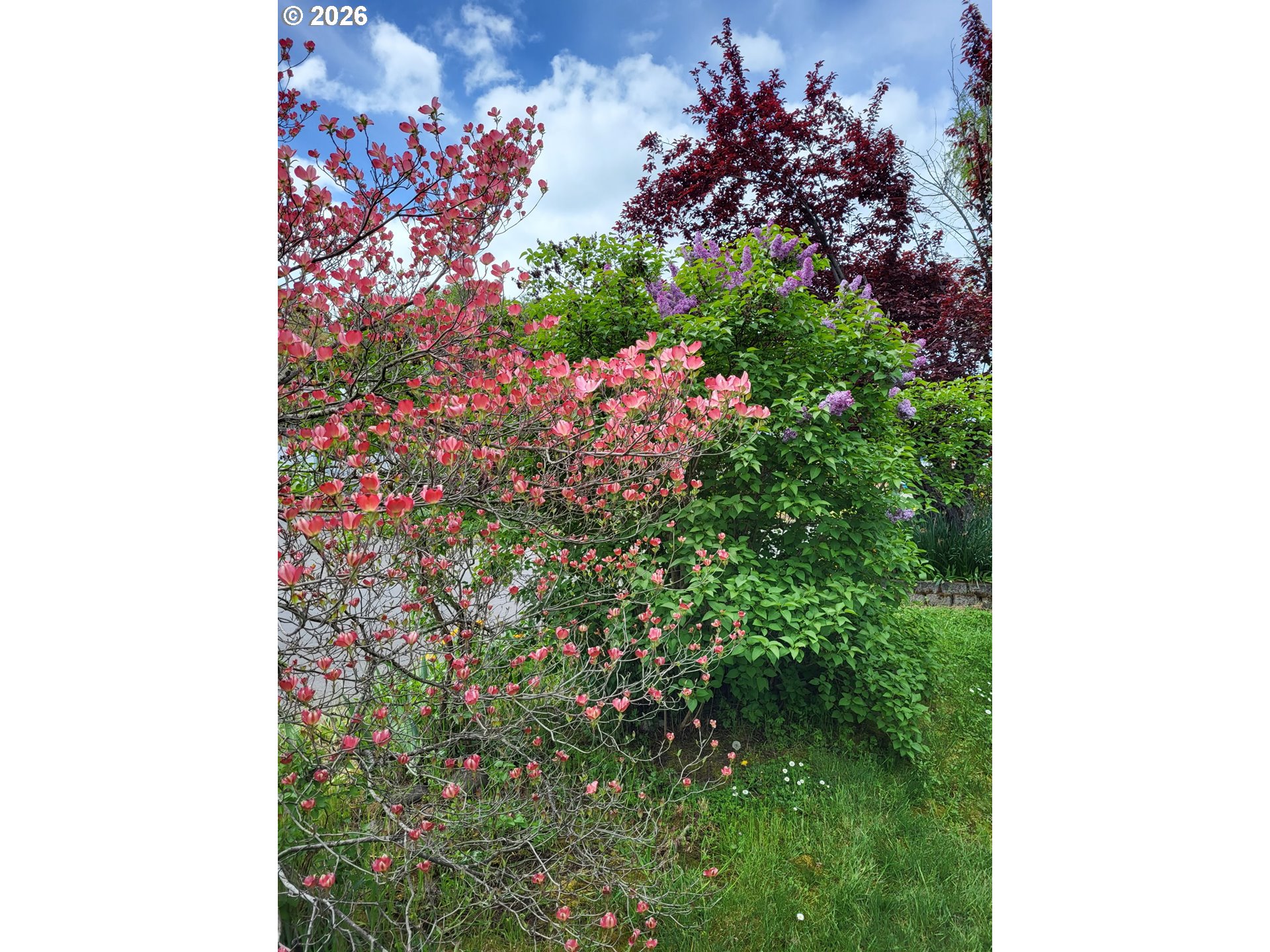 property viewer photo 18