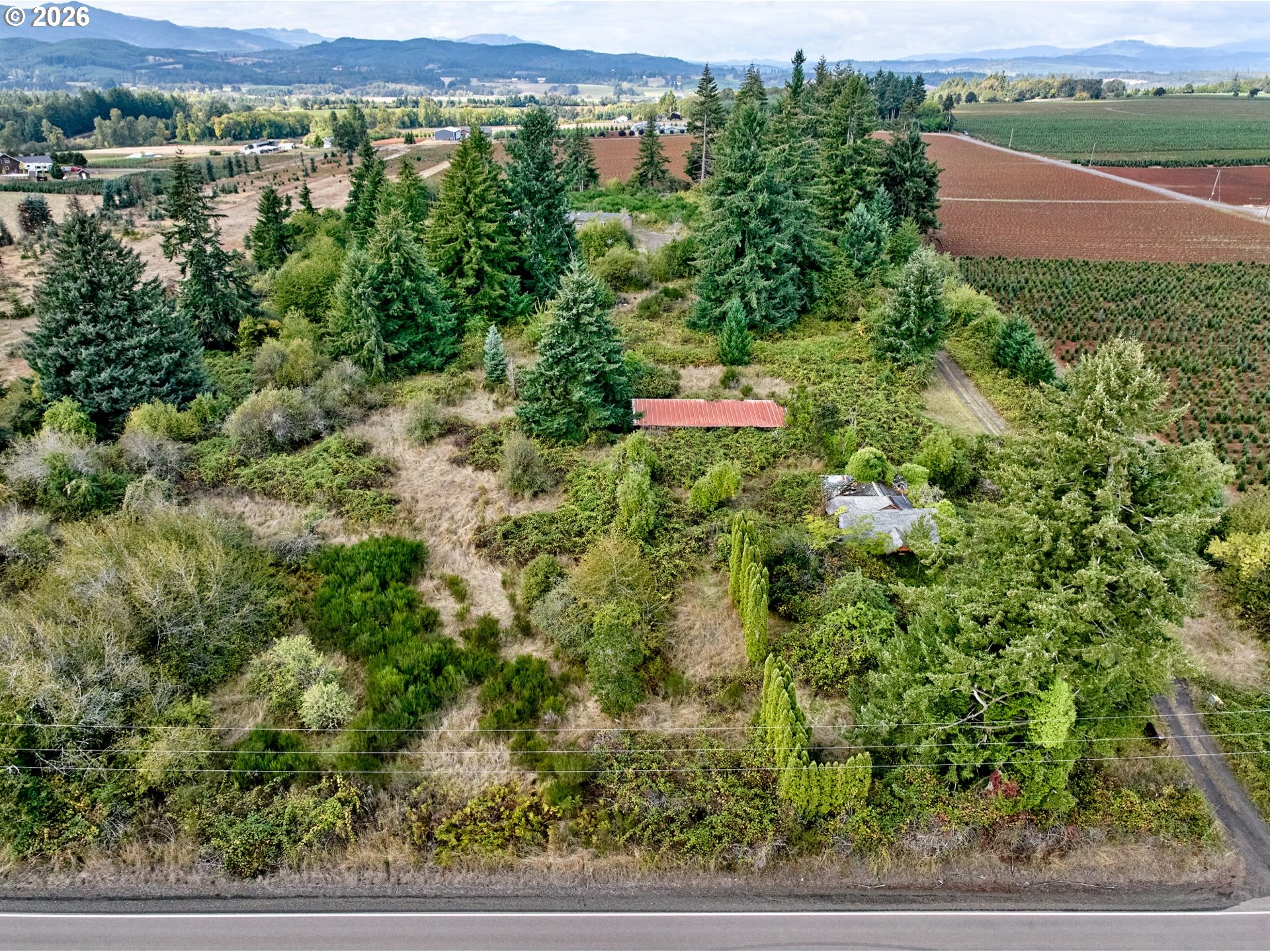 main property photo 38