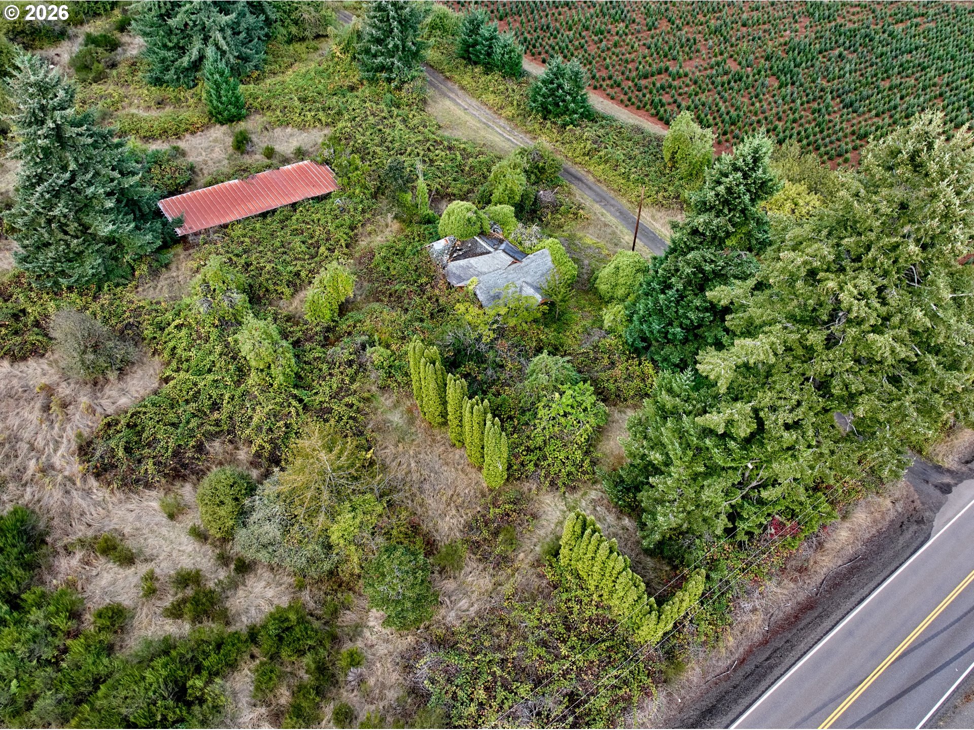 main property photo 39