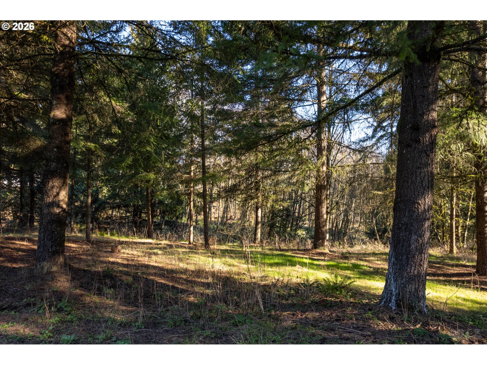 main property photo 26