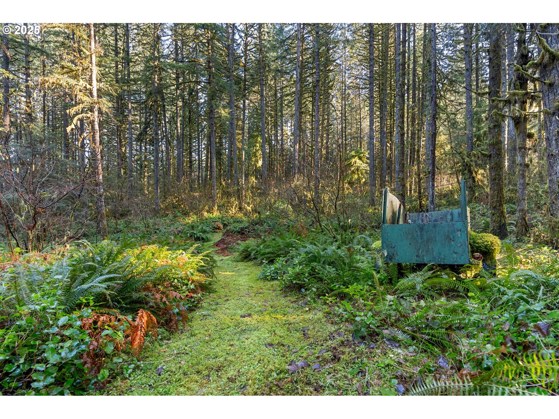 main property photo 10