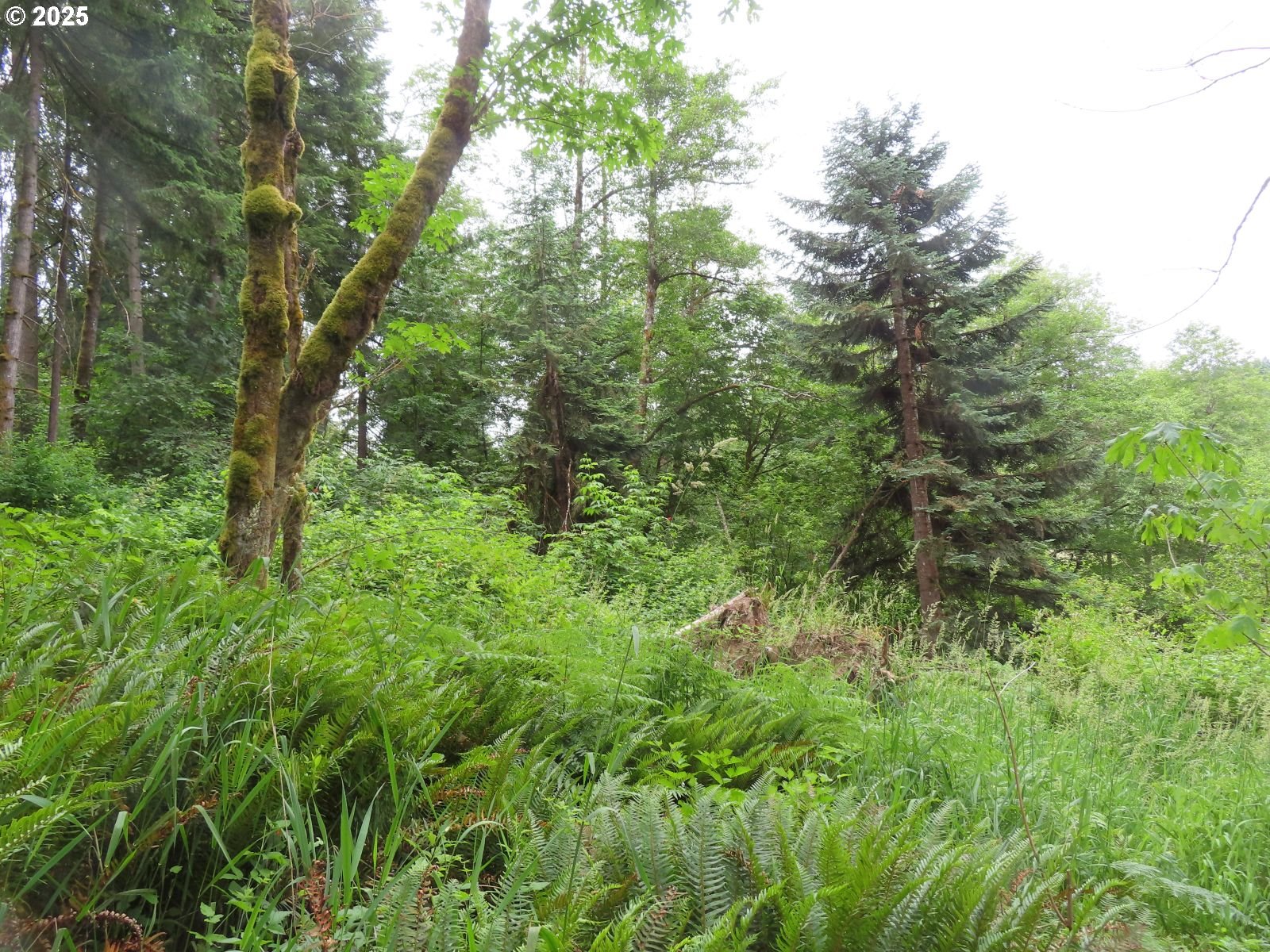 main property photo 11