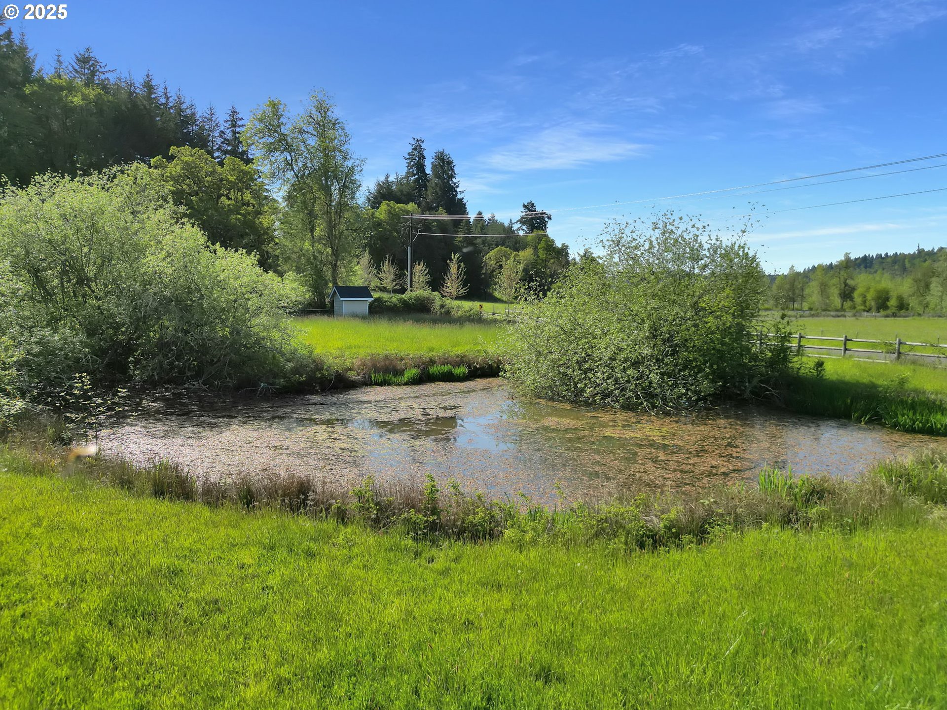 main property photo 45