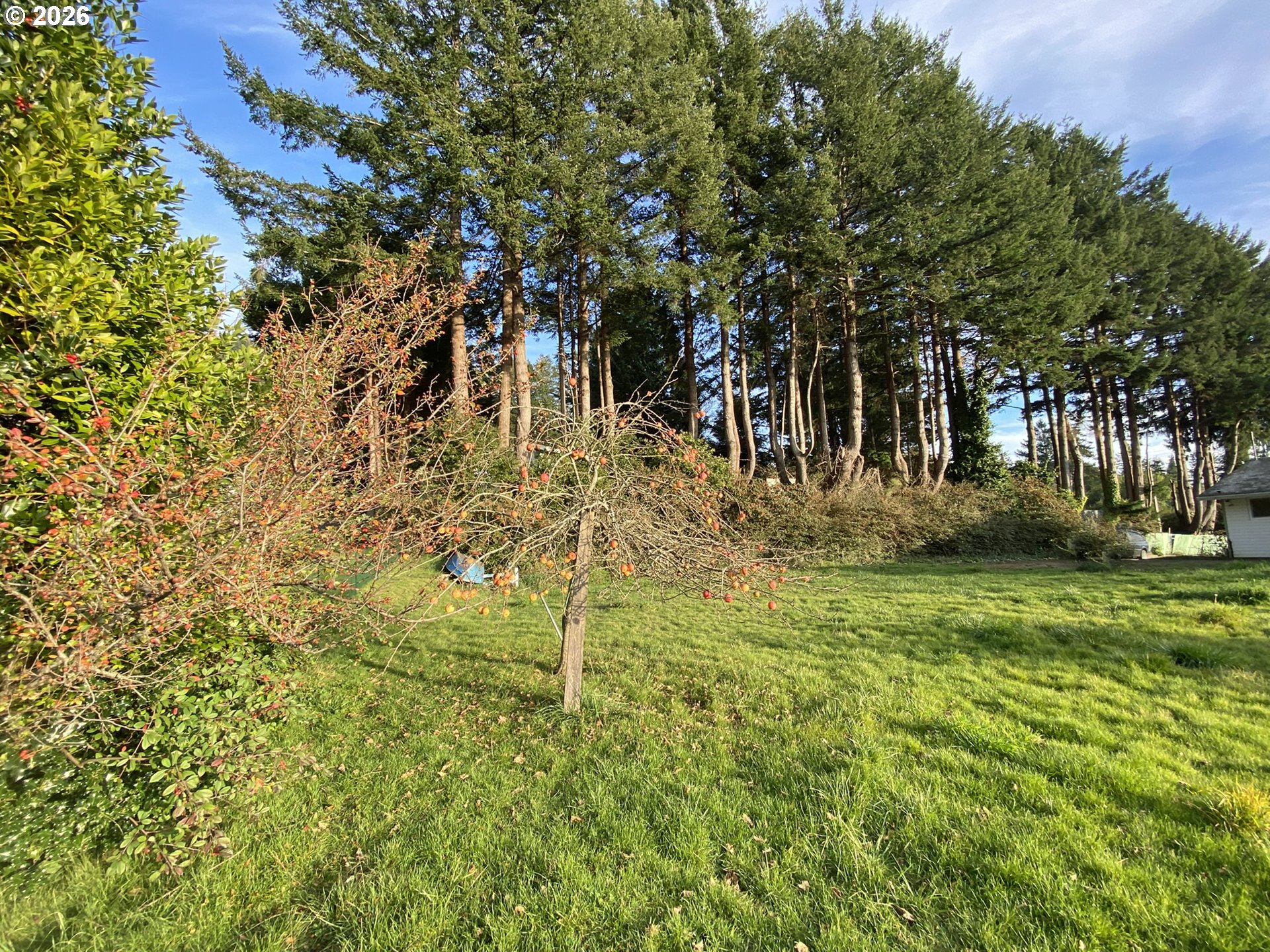 main property photo 34