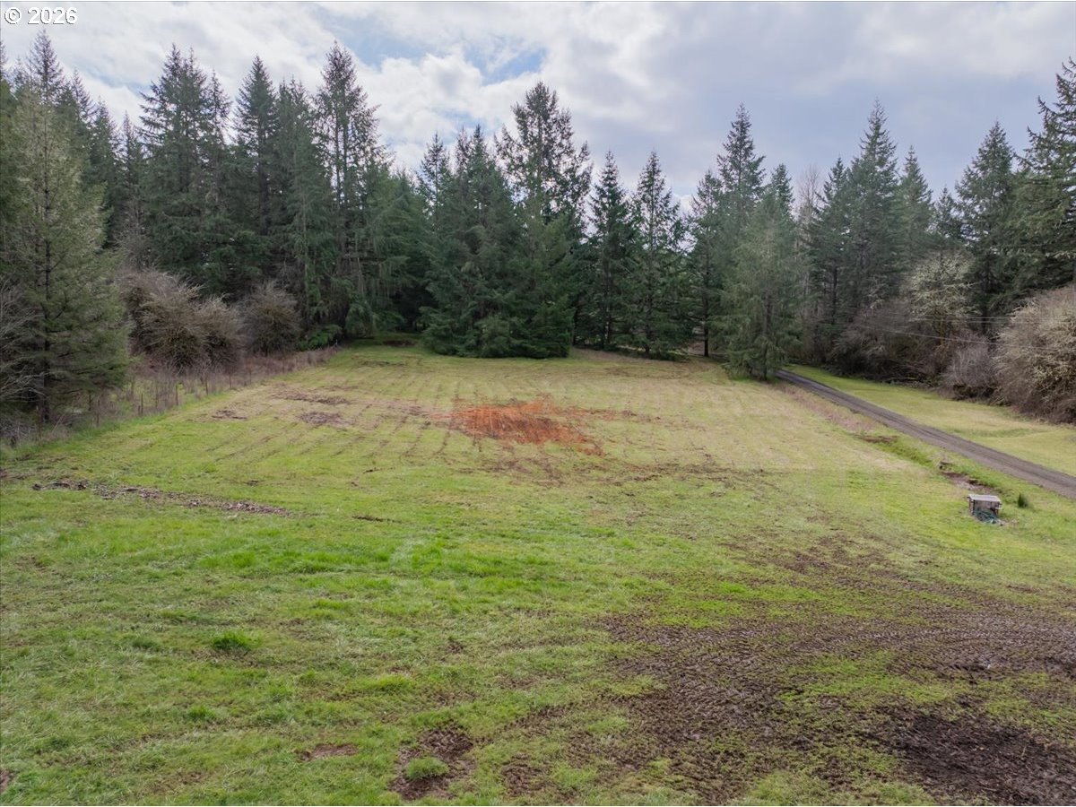 main property photo 44