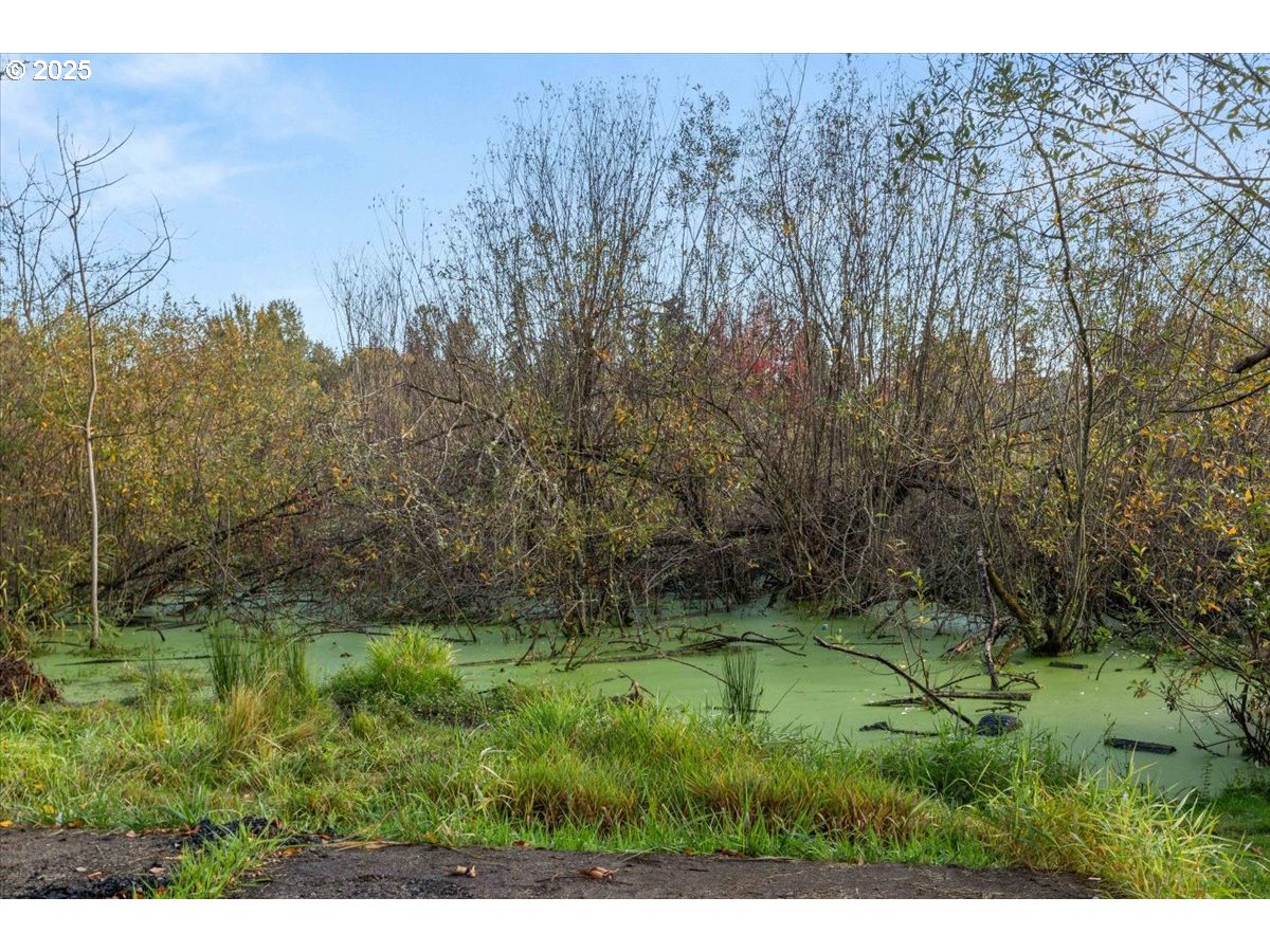property viewer photo 37