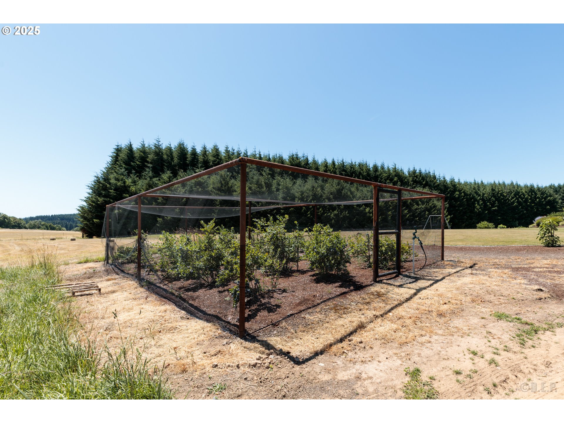 main property photo 30