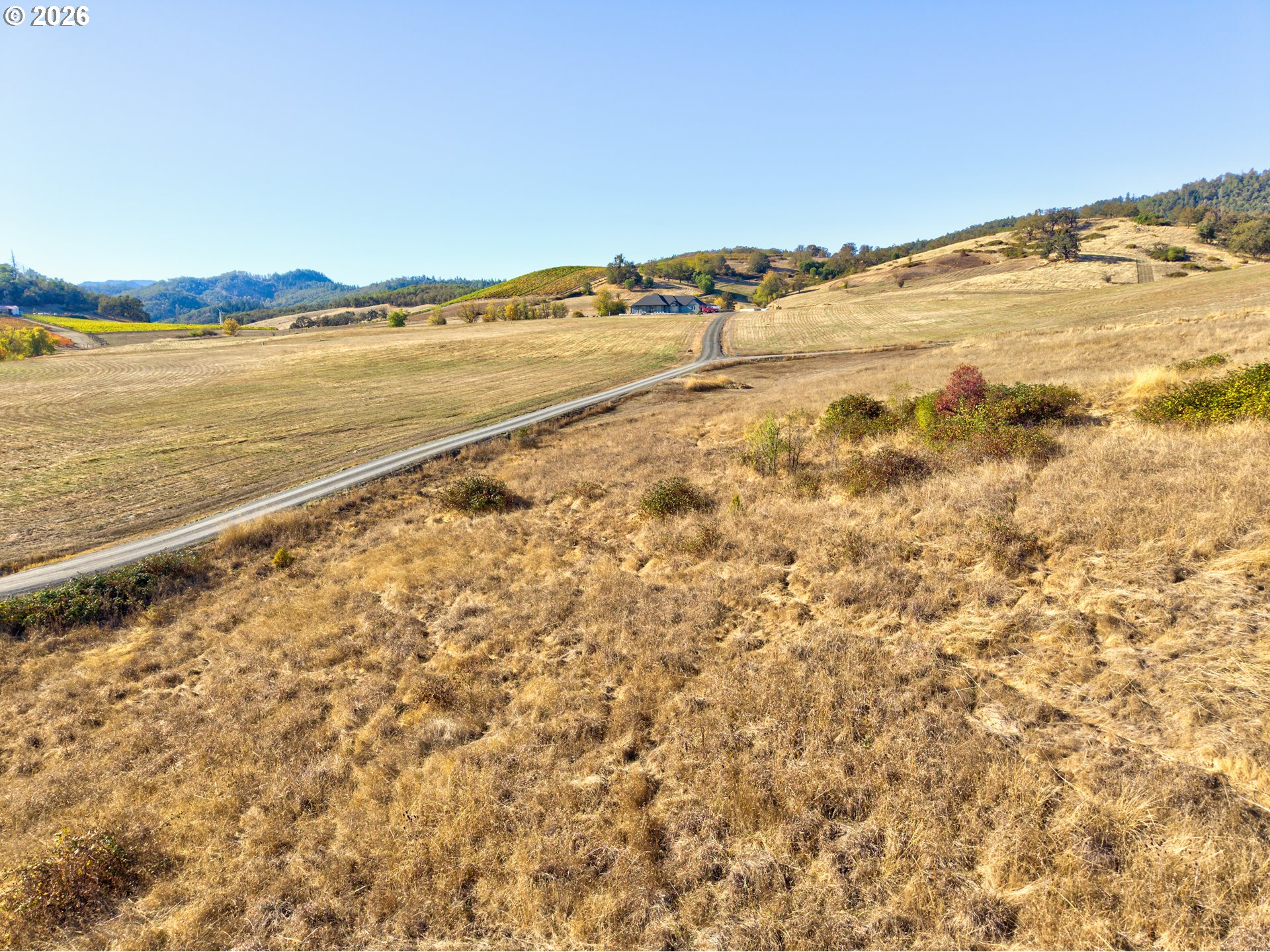 Ground-level view of open land on Wil Way in Winston