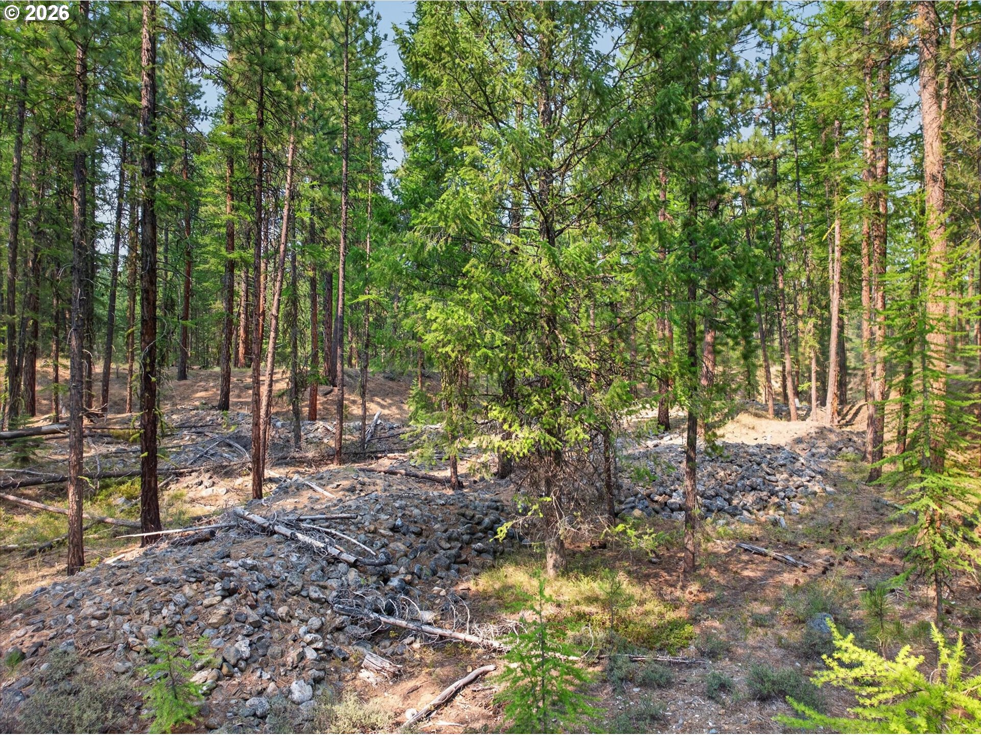 main property photo 14