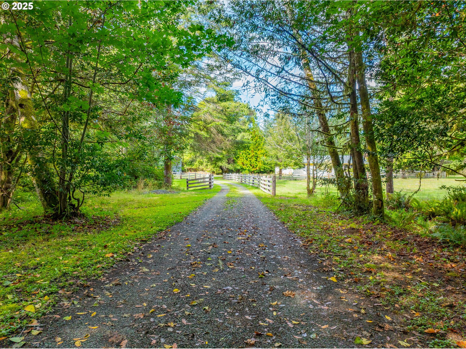 property viewer photo 4