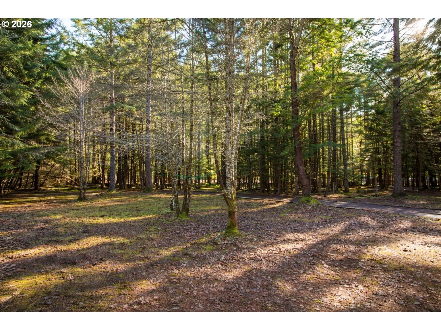 property viewer photo 7