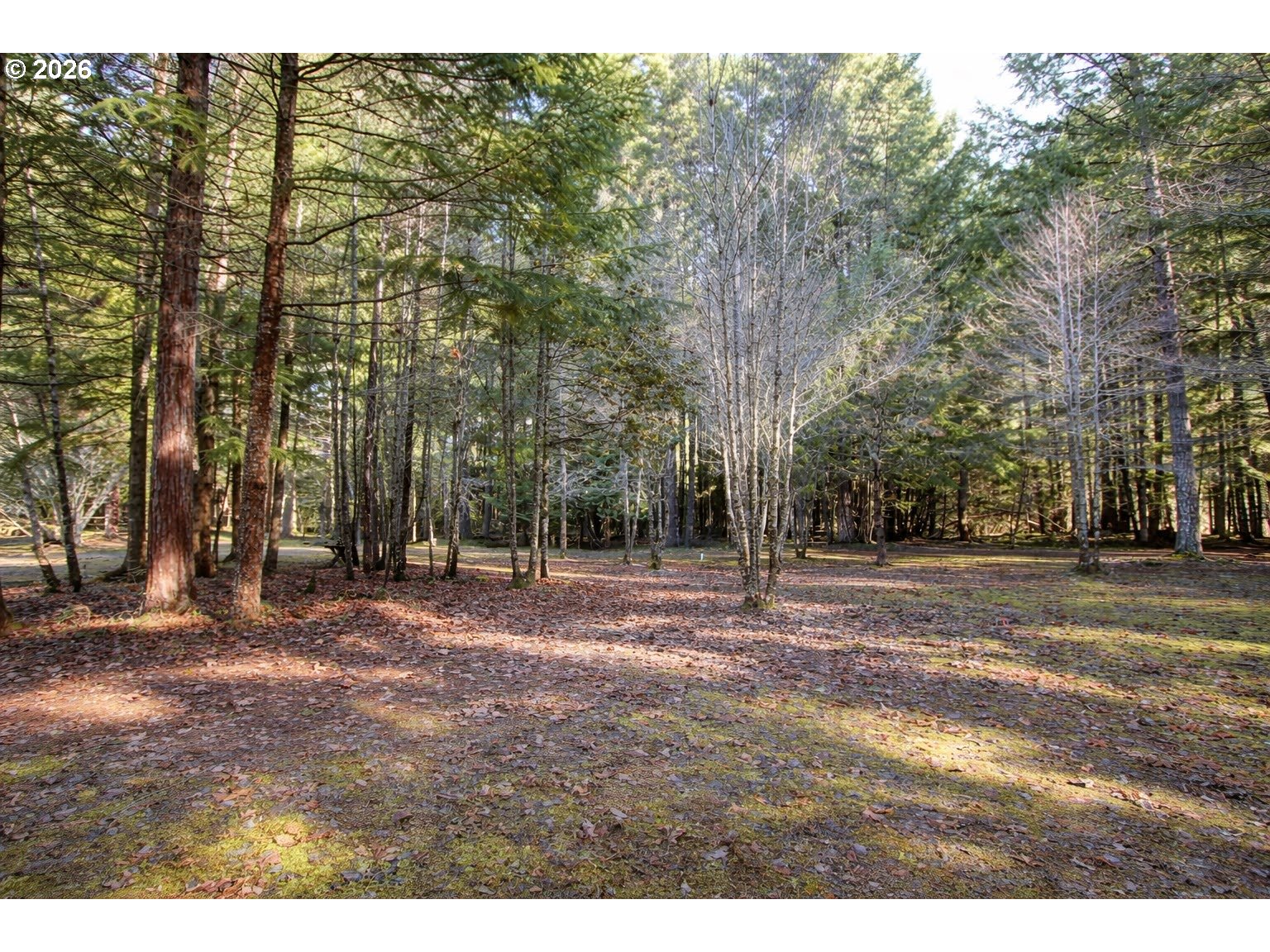 property viewer photo 8
