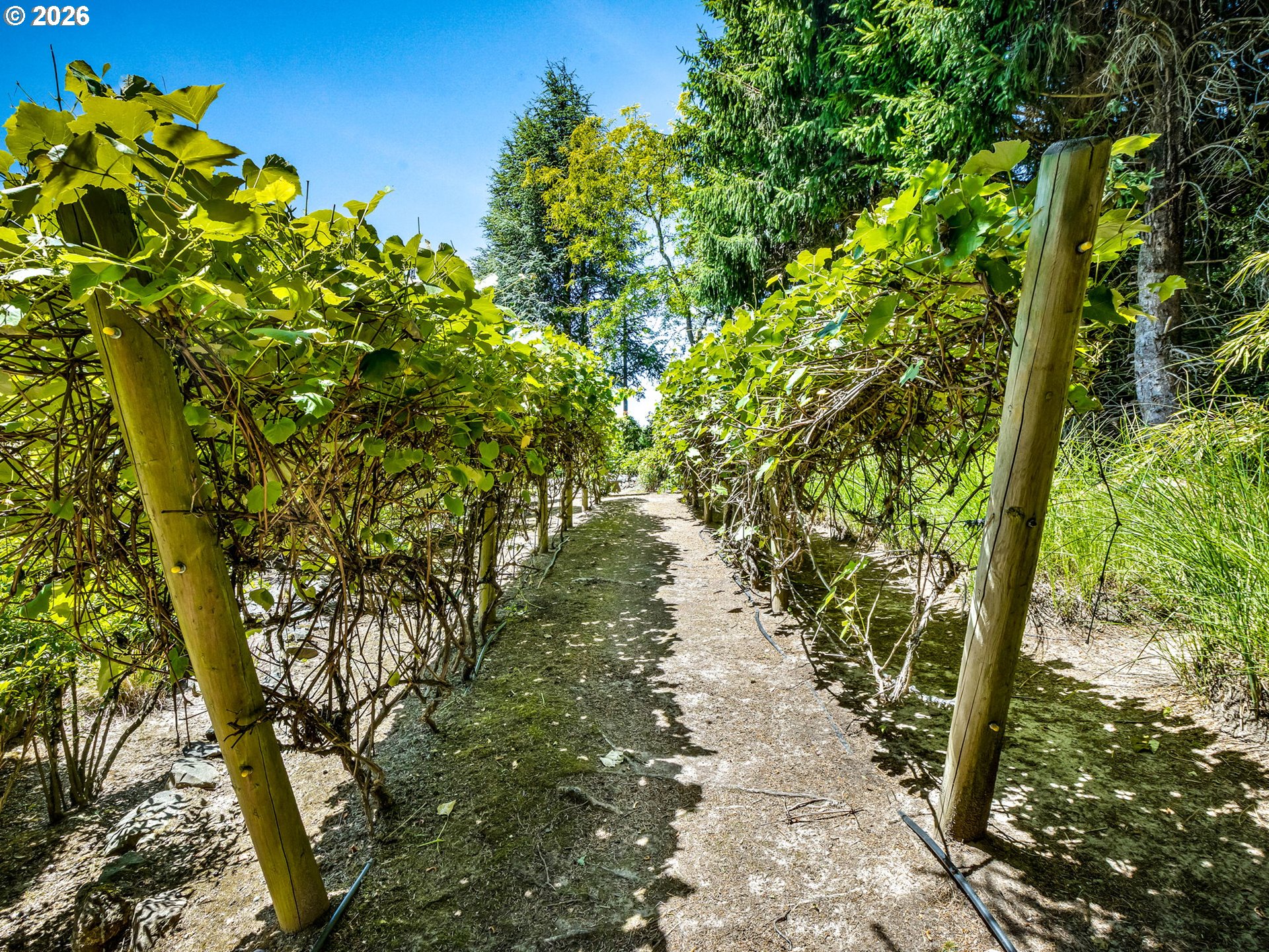 main property photo 42