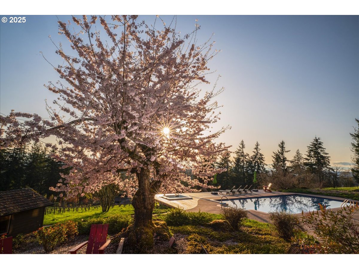 property viewer photo 3