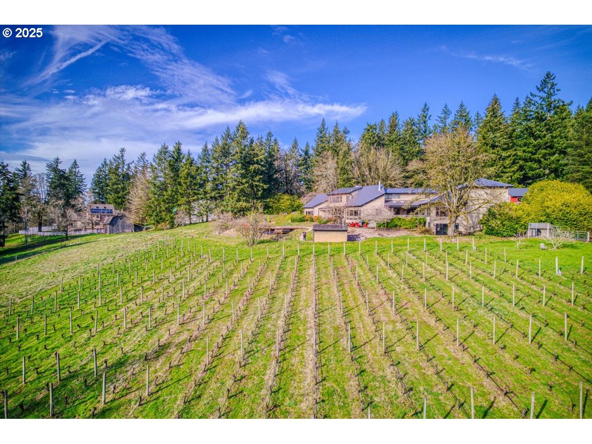 property viewer photo 42