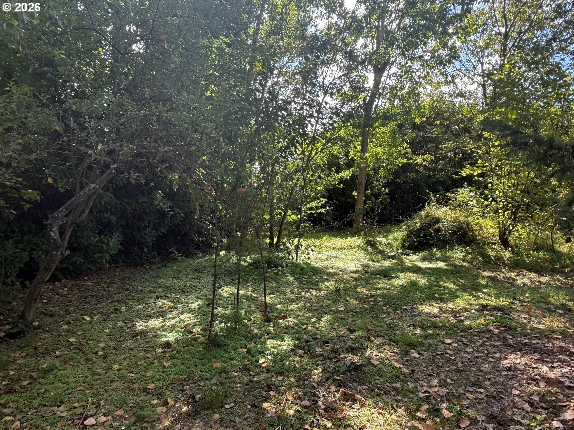 main property photo 30