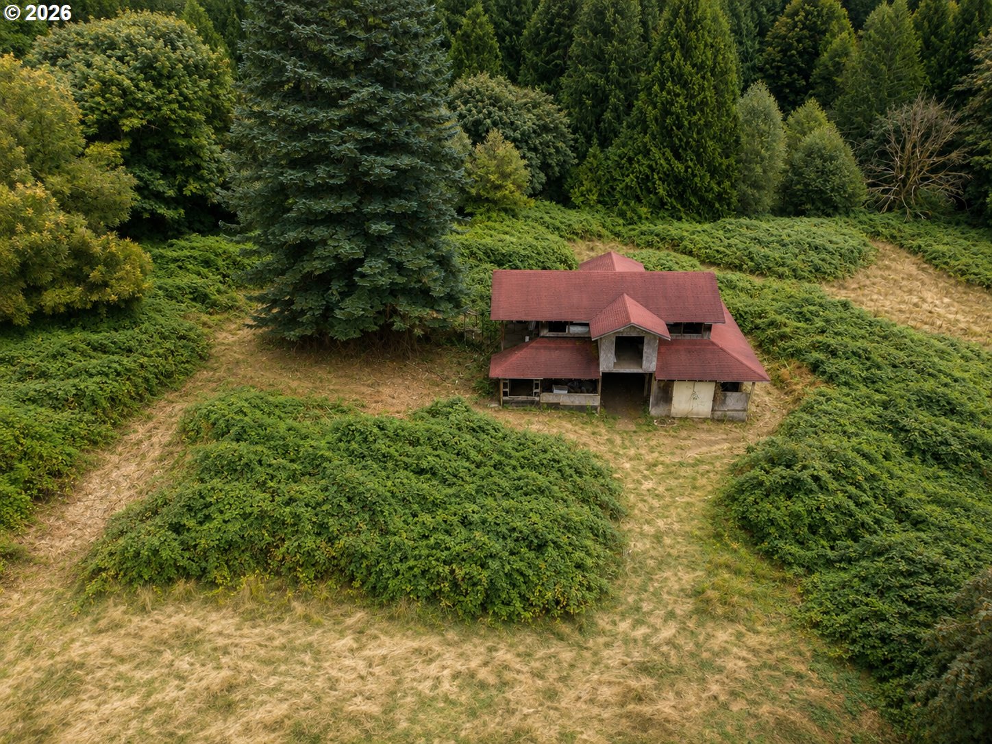 main property photo 7