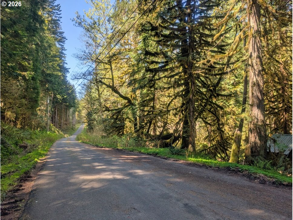 main property photo 28