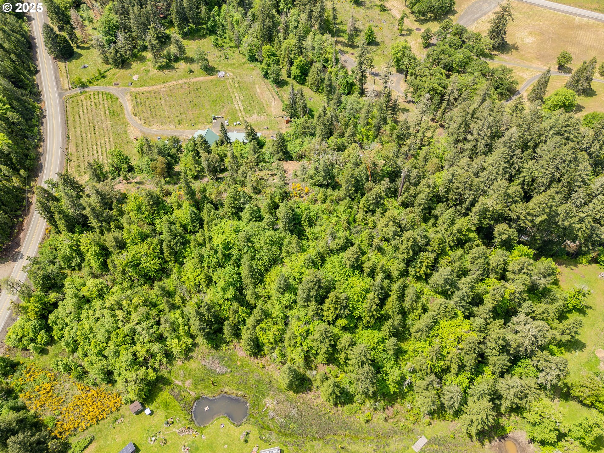 main property photo 12