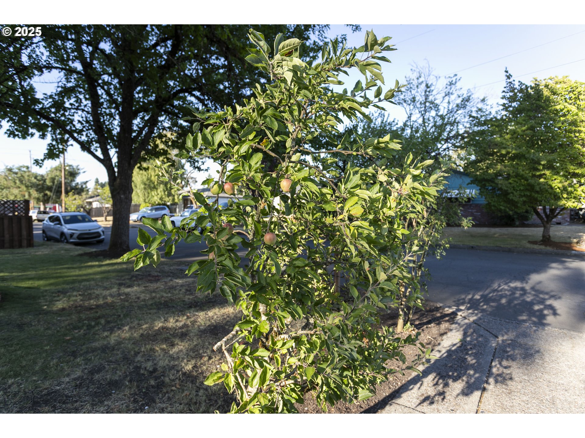 property viewer photo 29