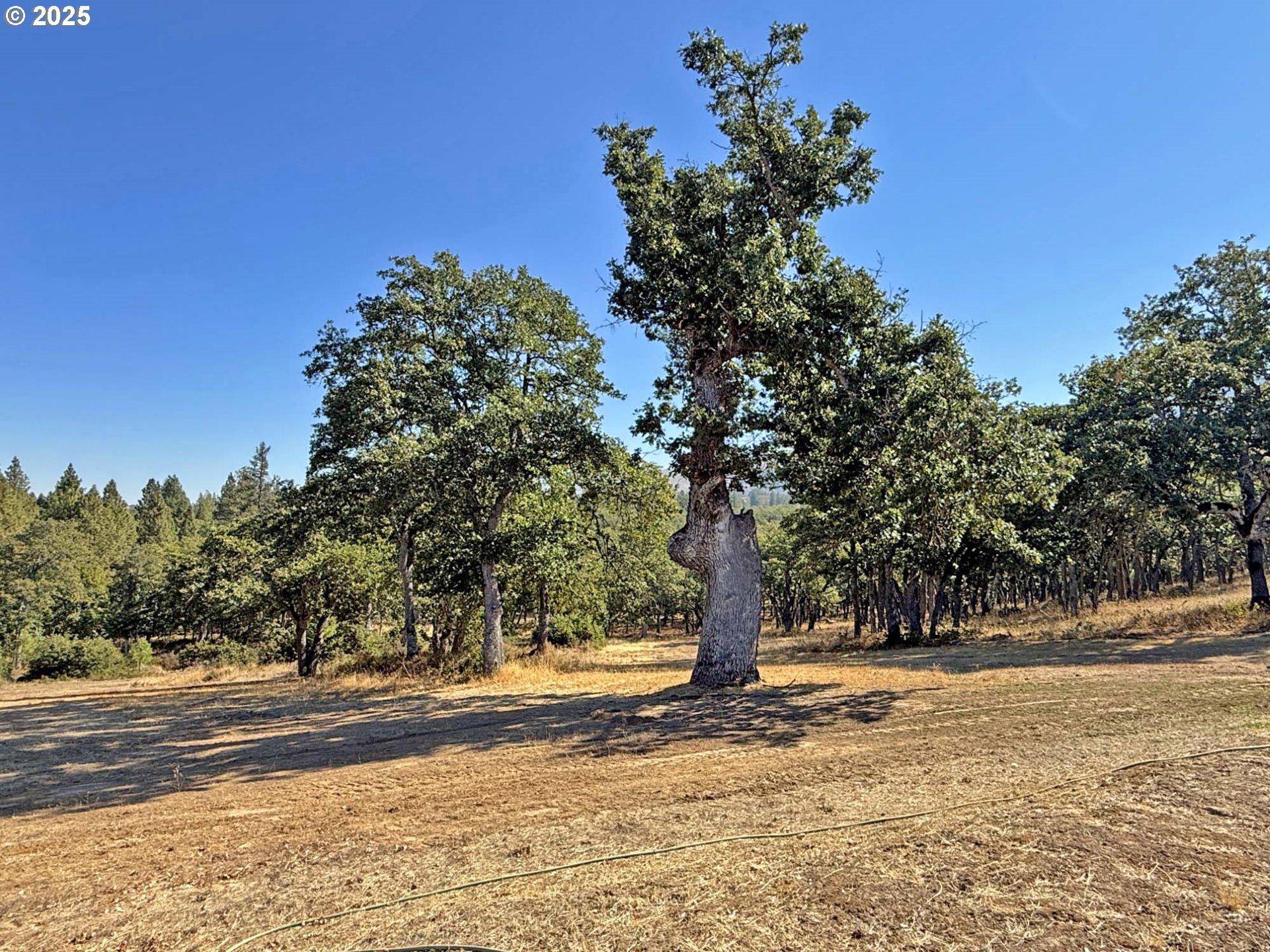 property viewer photo 30