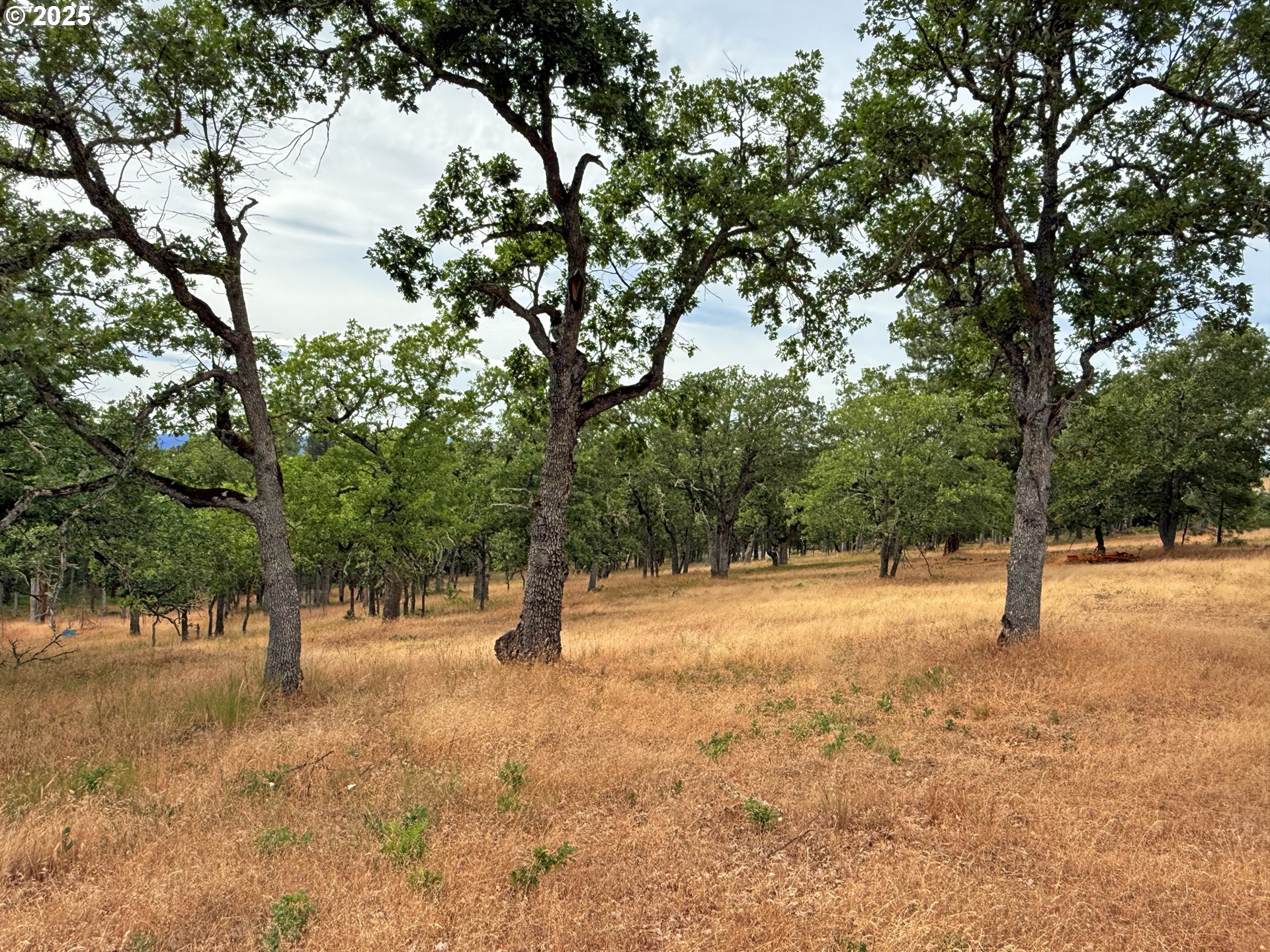 property viewer photo 34