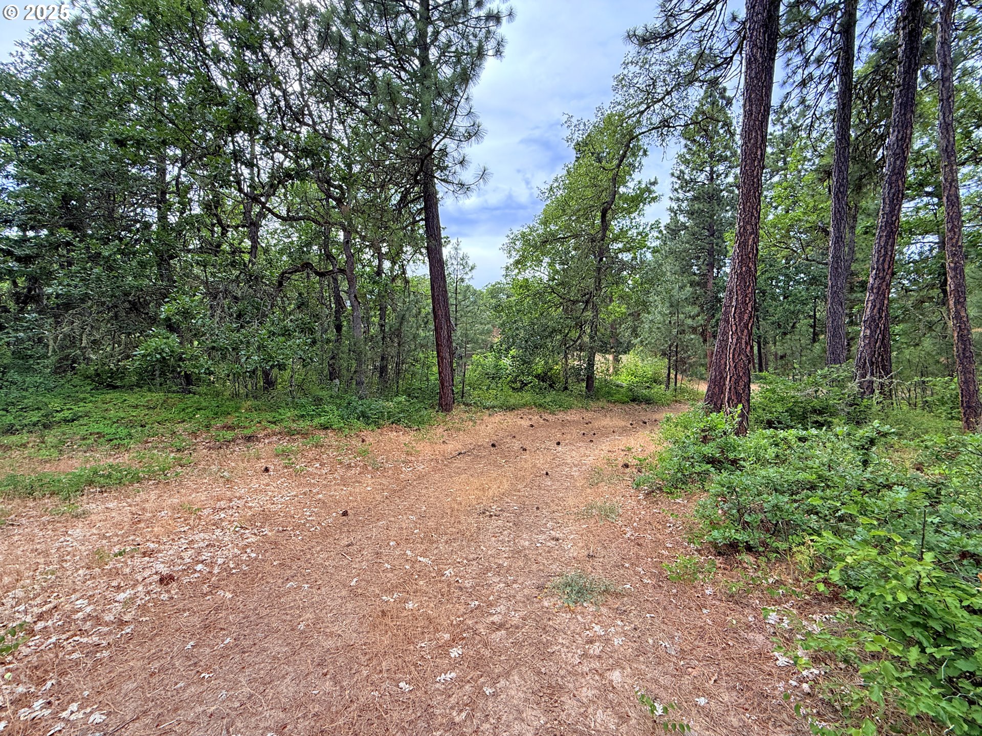 property viewer photo 35