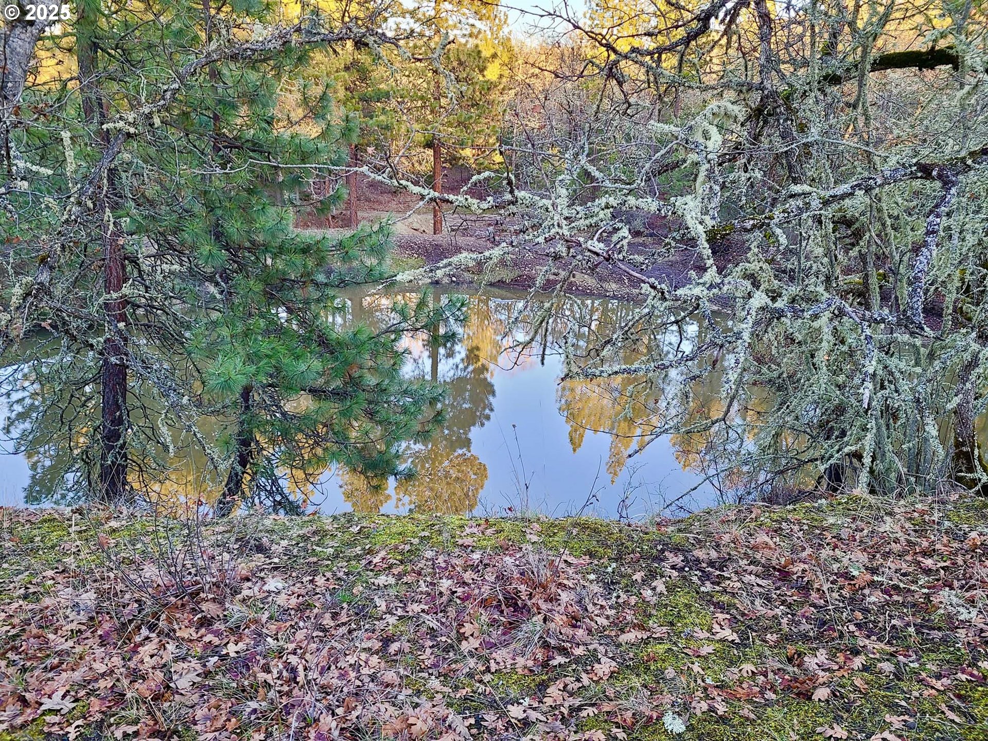 property viewer photo 36