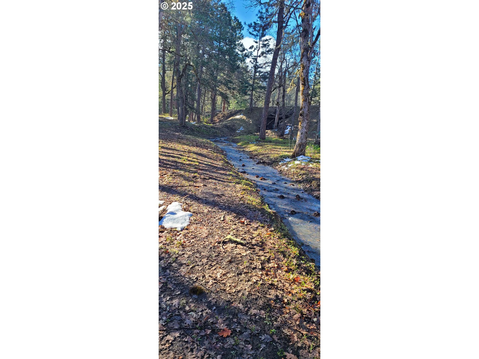 property viewer photo 37