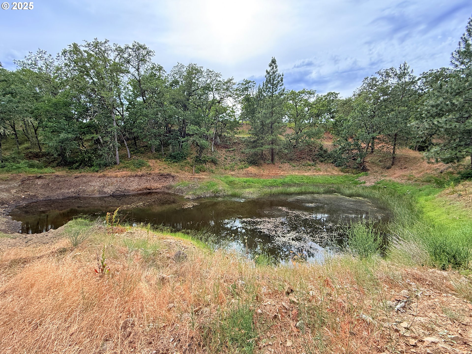 property viewer photo 38