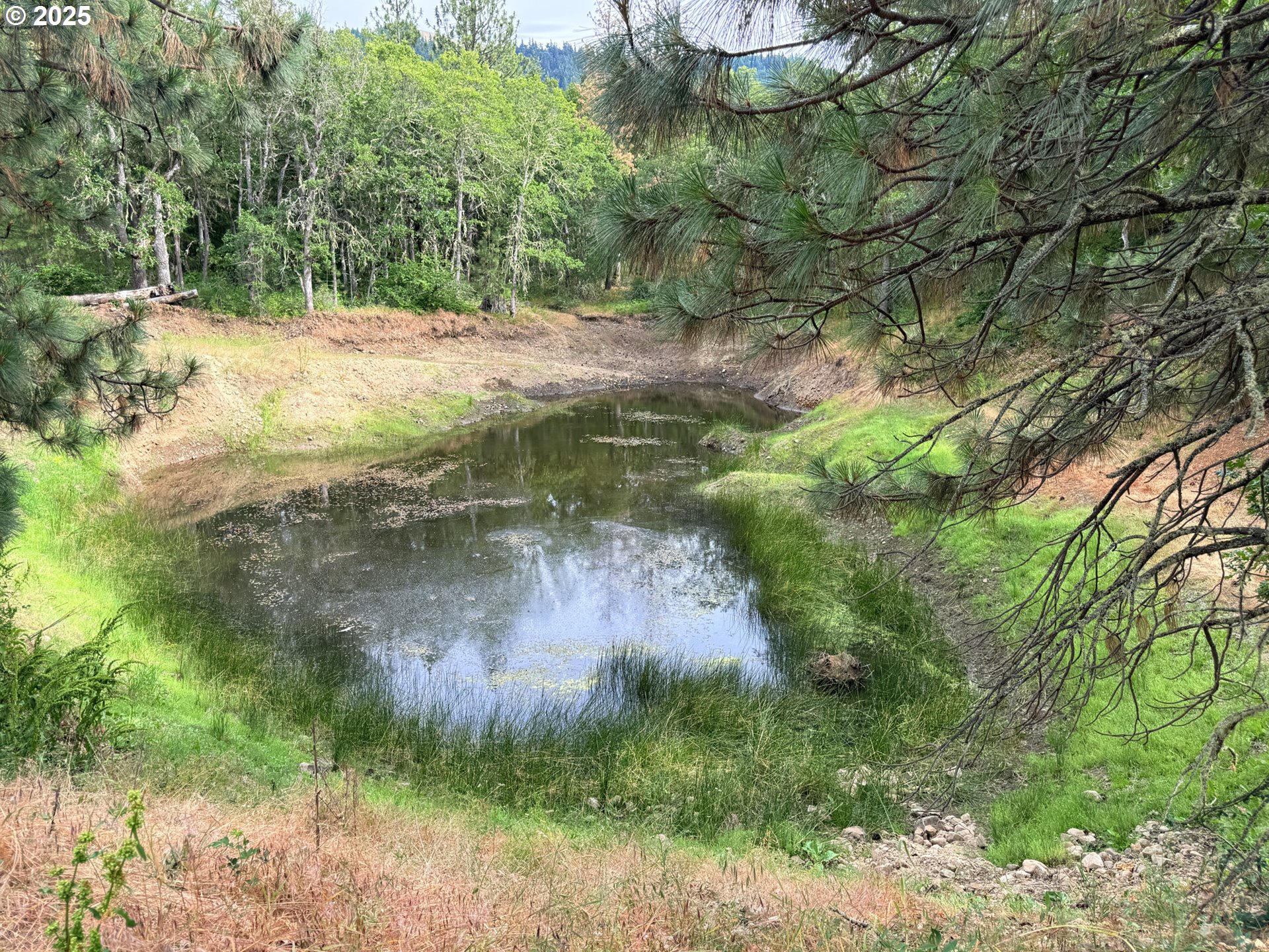 property viewer photo 39