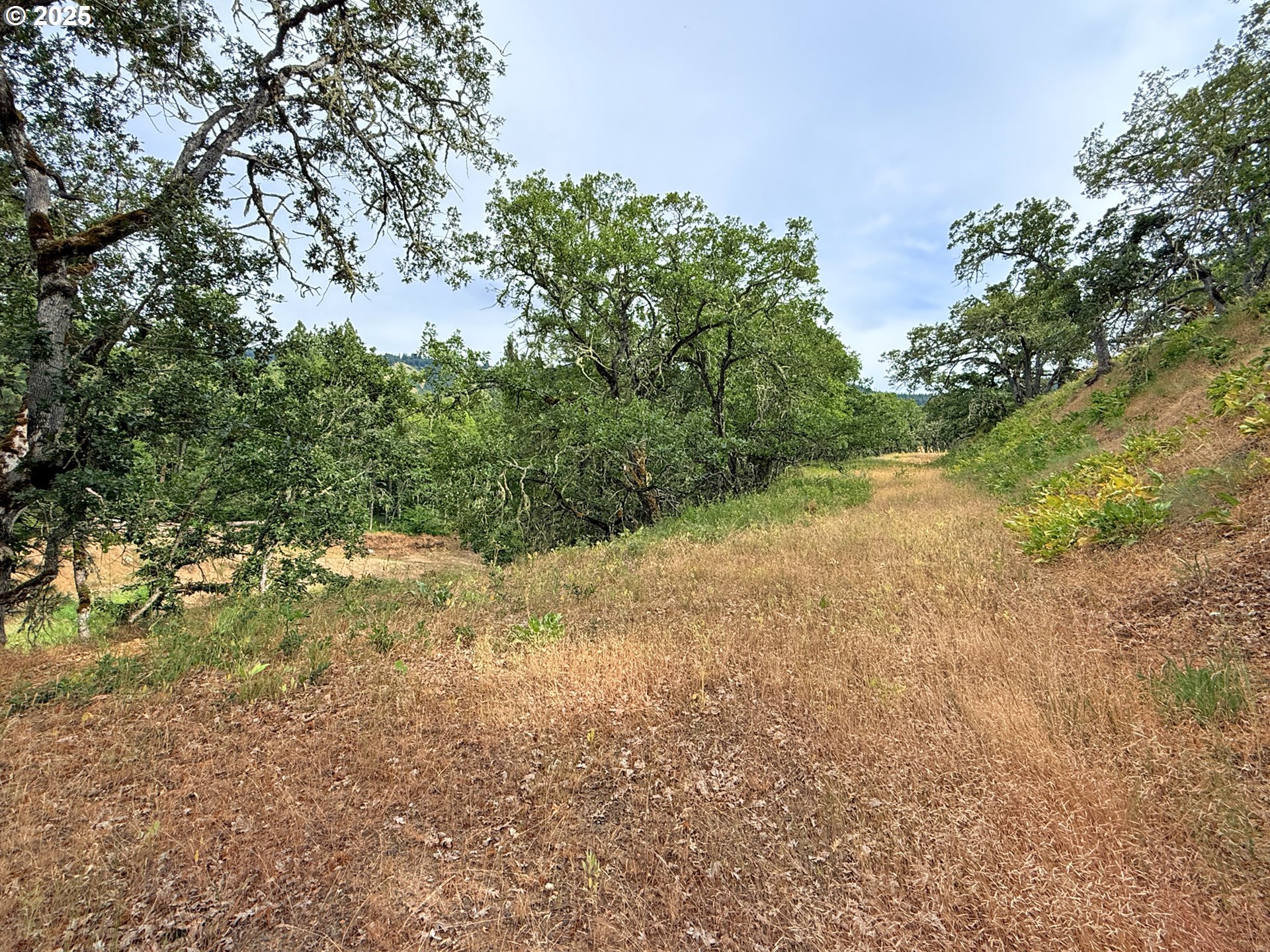 property viewer photo 40