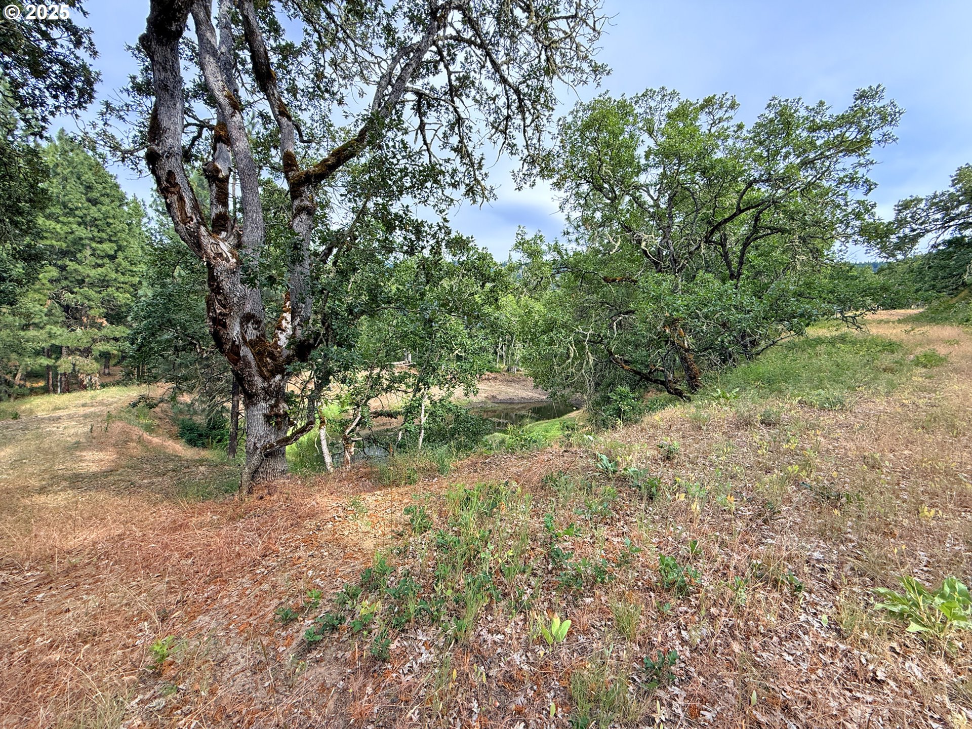 property viewer photo 41