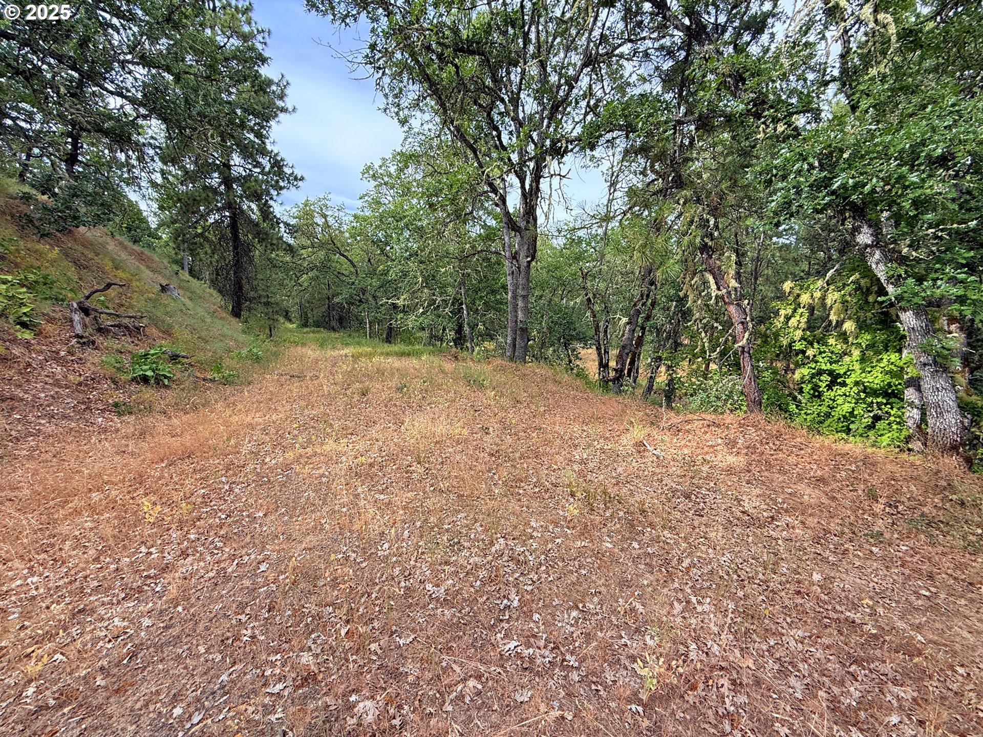 property viewer photo 42