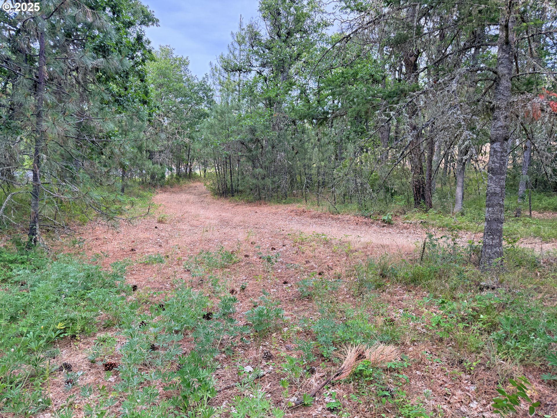 property viewer photo 43