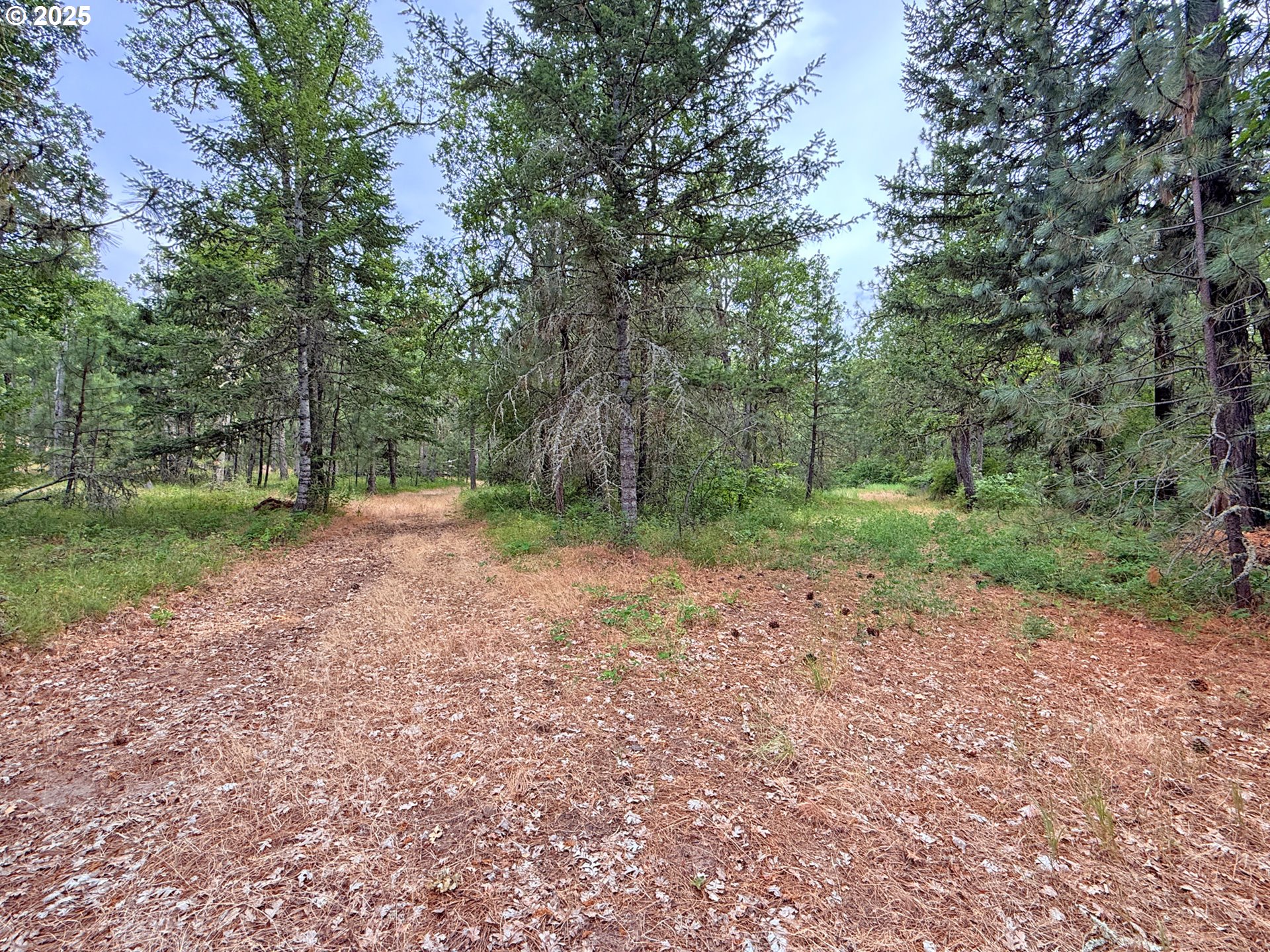 property viewer photo 44