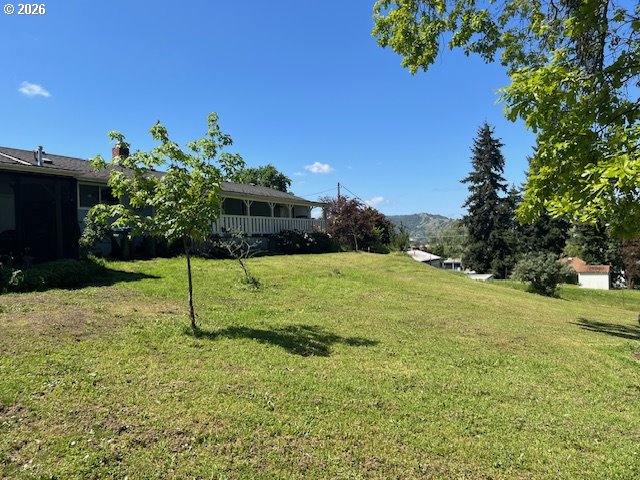 main property photo 41