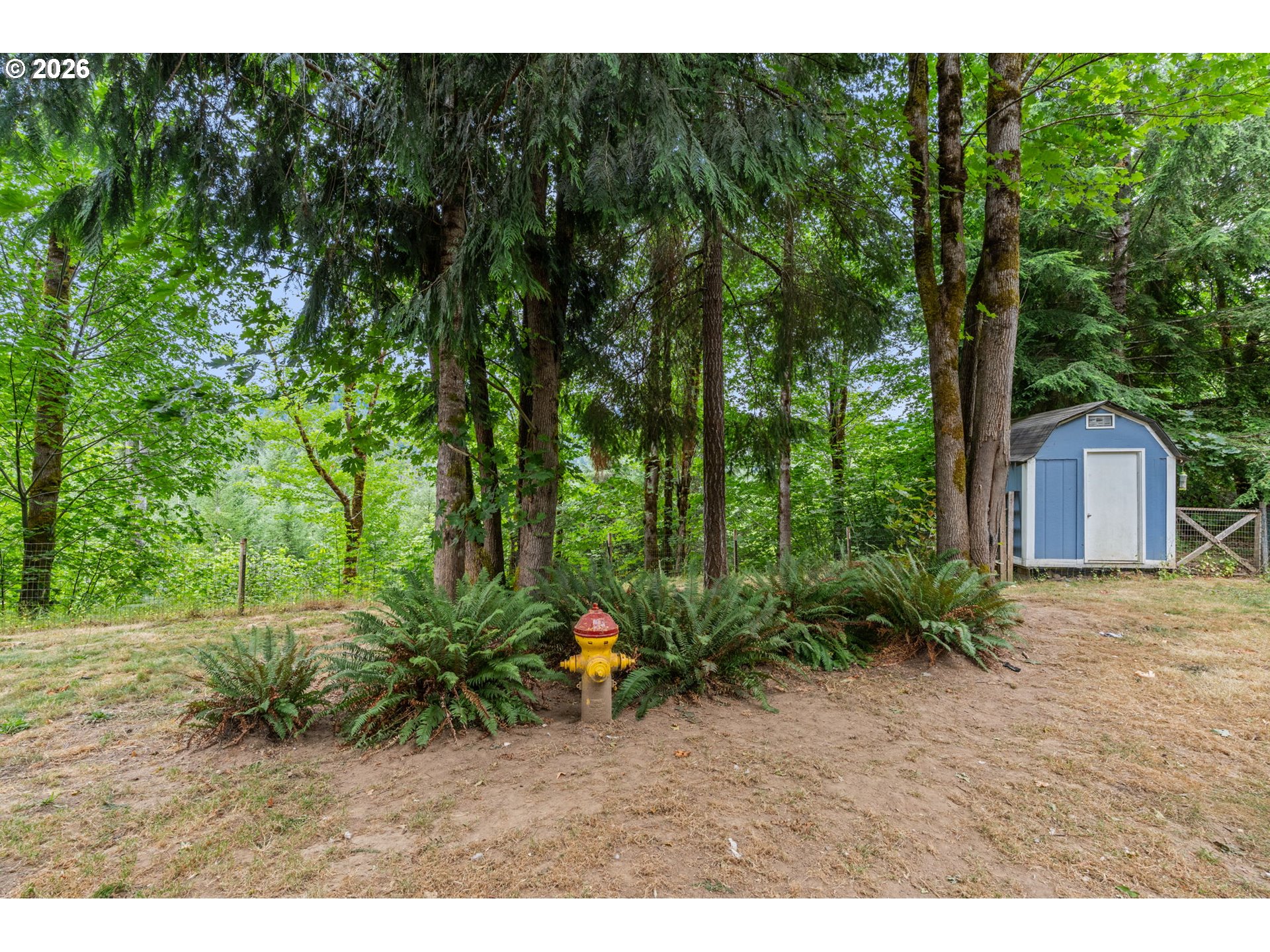 main property photo 31