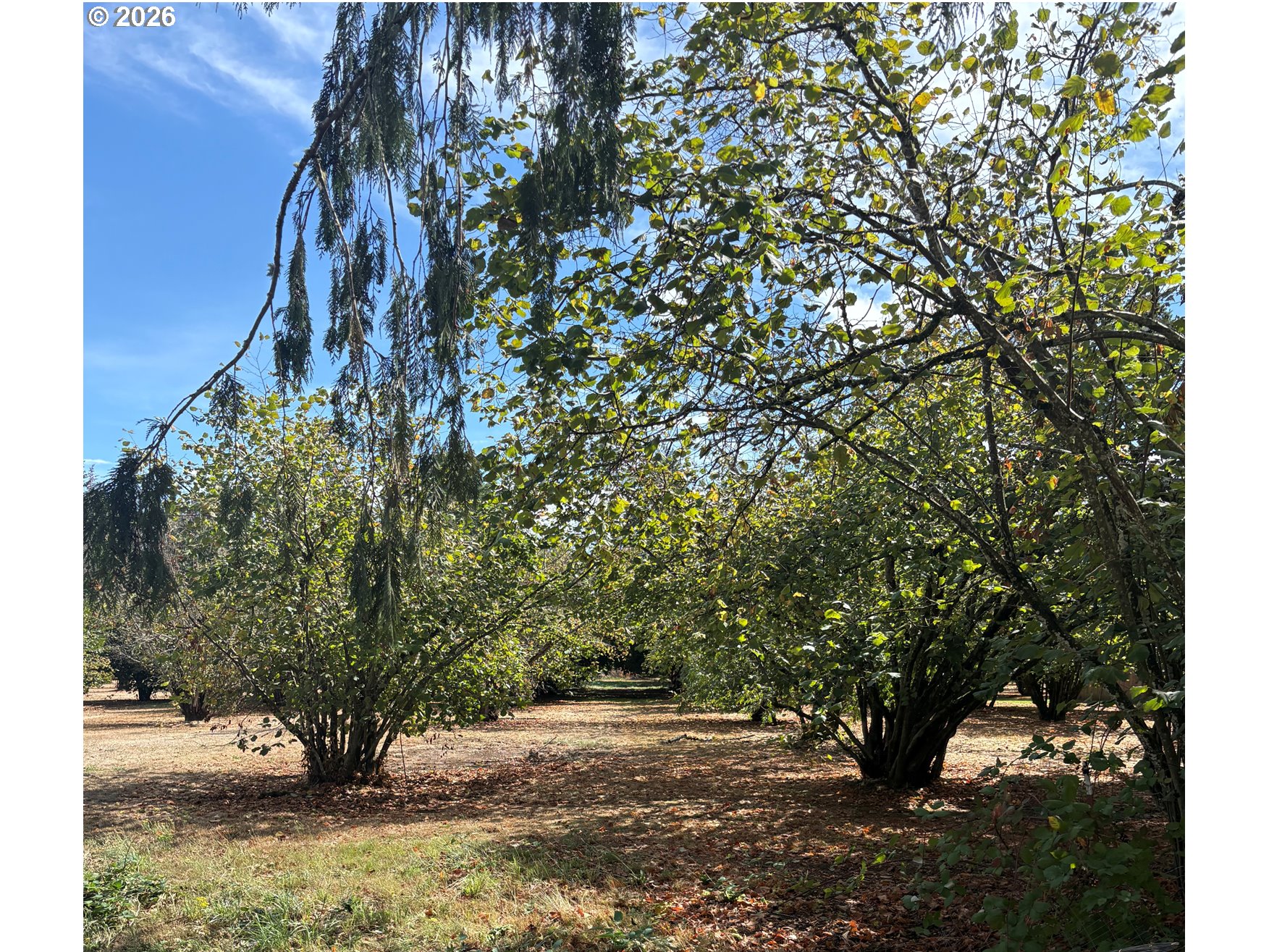 main property photo 12