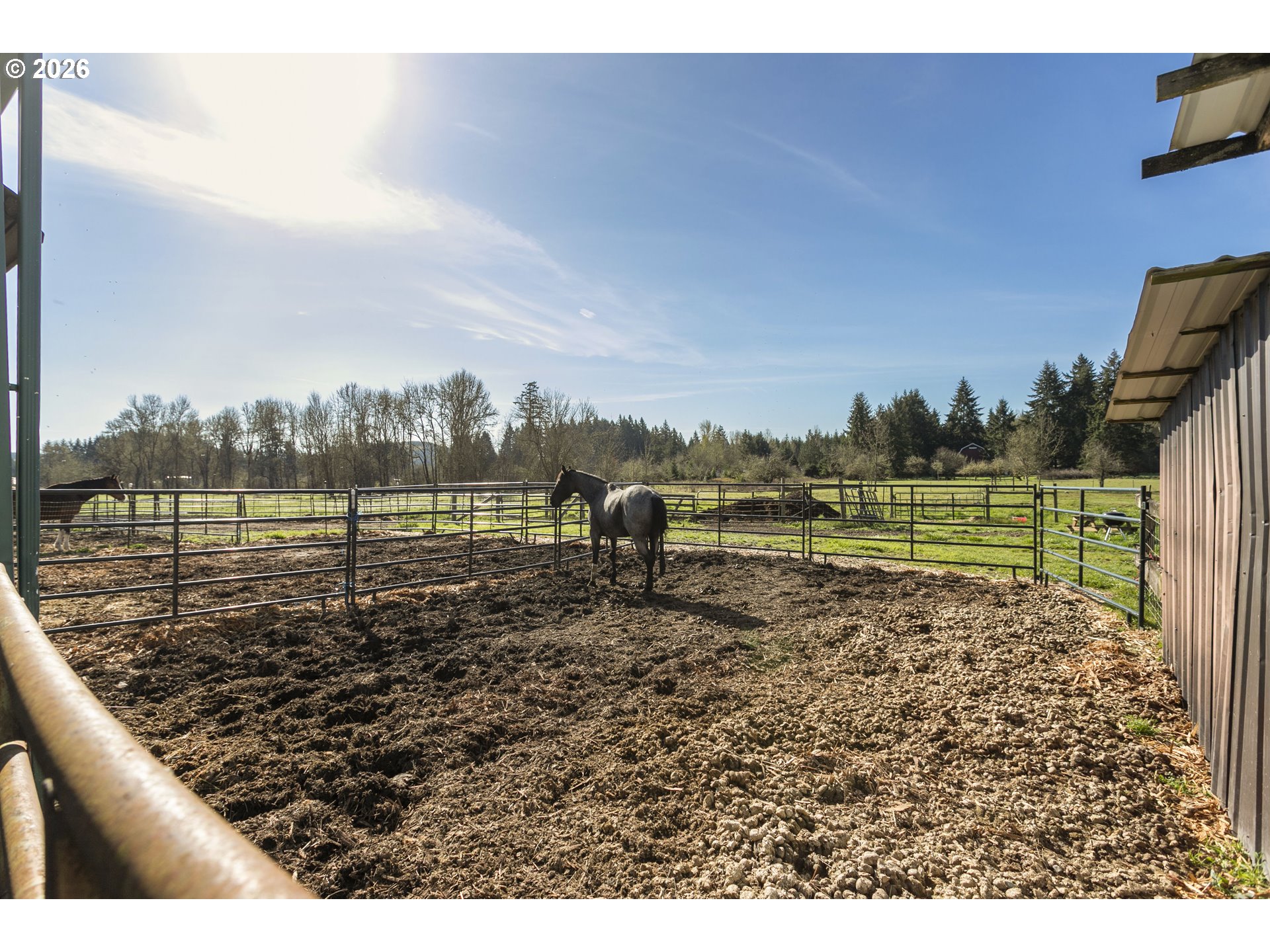 main property photo 13